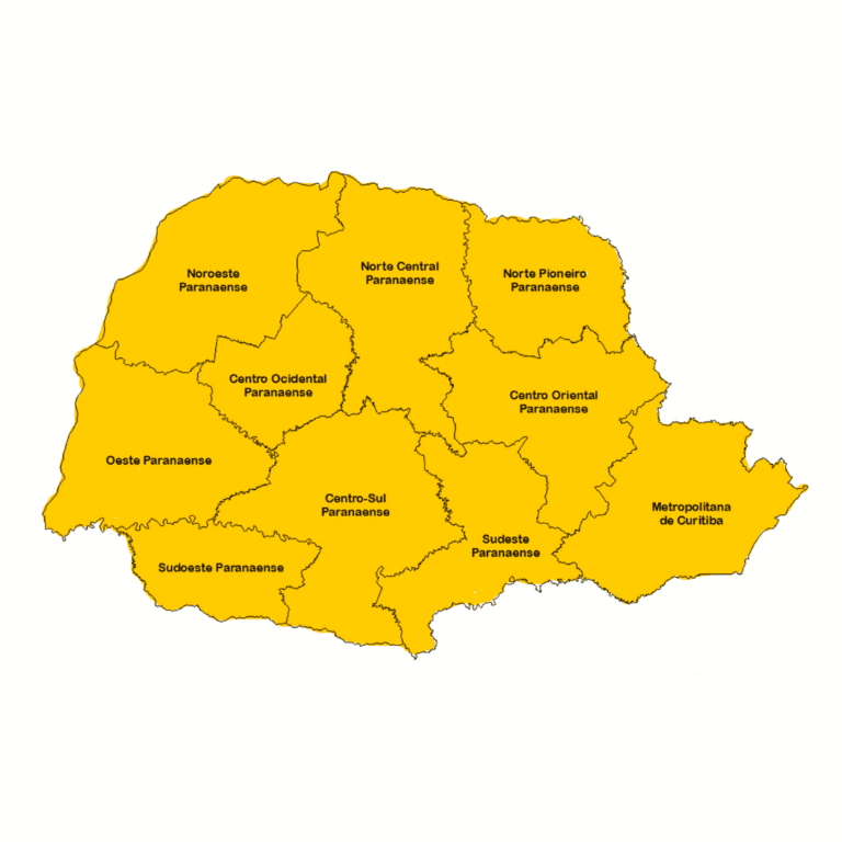 MAPA PR01 768x768