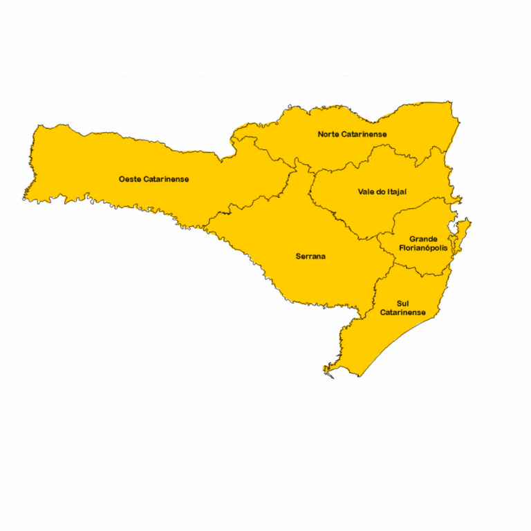 SC01 2 768x768
