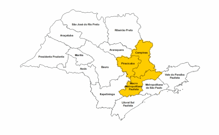SP08 3 768x473
